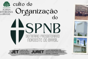 capa YT organização